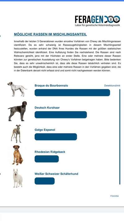 DNA-Tests-Beitrag-Bild