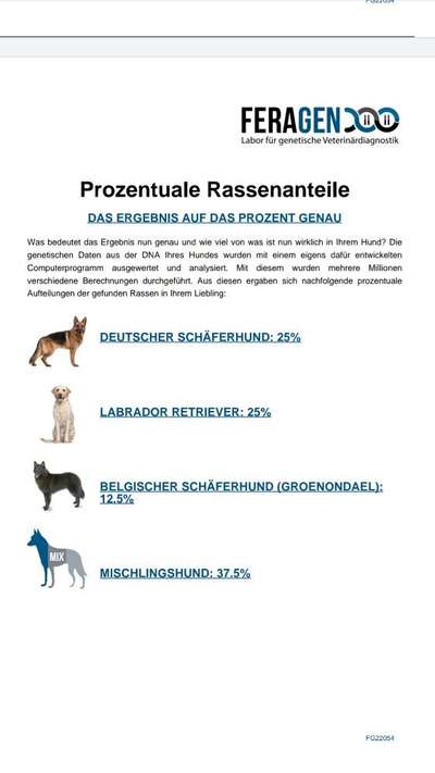 DNA-Tests-Beitrag-Bild