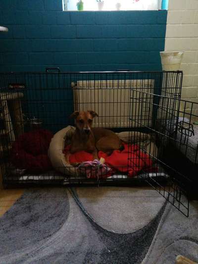 Alleine lassen-Beitrag-Bild