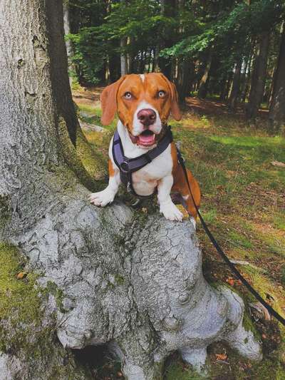 42.Fotochallenge - Eure schönen Momente beim Spaziergang-Beitrag-Bild