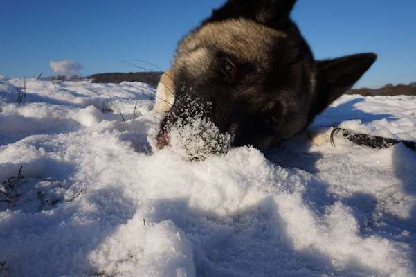 Challenge Nr. 15
Spiel im Schnee-Beitrag-Bild