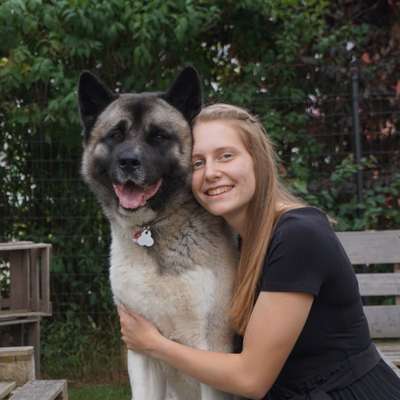 Hundetreffen-Socialwalk & Freunde finden-Bild