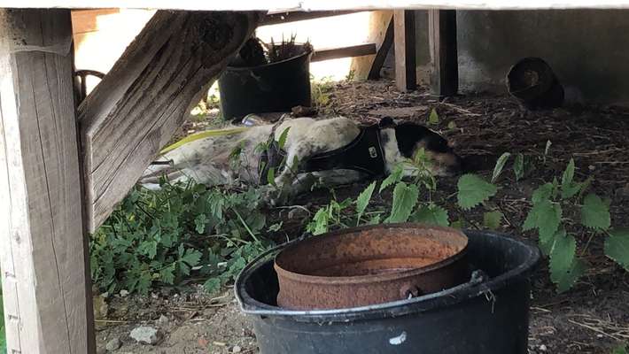 Challenge 21 - wo bin ich : )-Beitrag-Bild