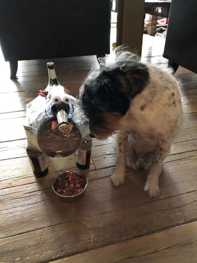 Lieblings Schnappschuss?-Beitrag-Bild