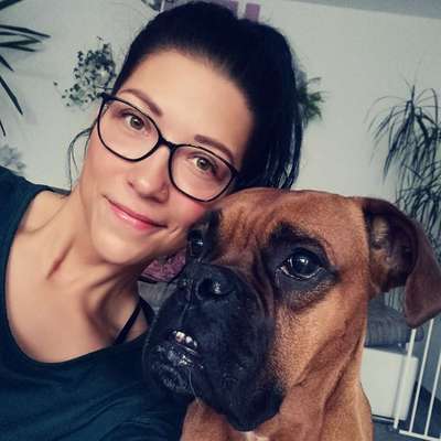 Hundetreffen-Spiel und Spaß-Profilbild