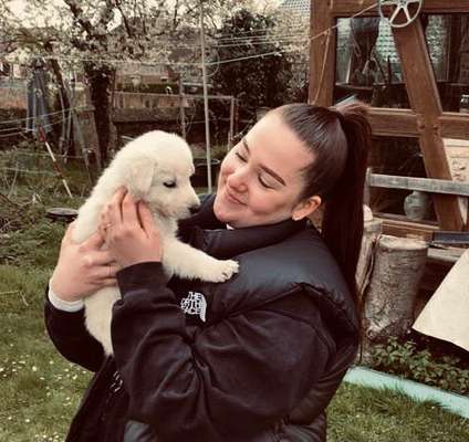 Welpen Bilder !-Beitrag-Bild