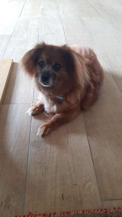 Fotochallenge Nr. 56 - geliebte Senioren-Beitrag-Bild