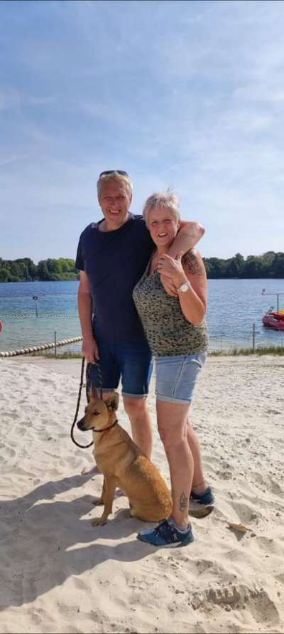 Hundetreffen-Spielrunde-Bild