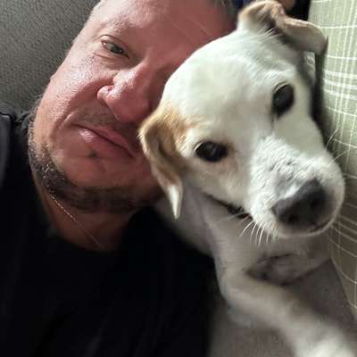 Hundetreffen-Angsthunde und dessen Herrchen und Frauchen-Bild