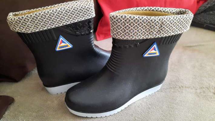 Gummistiefel, nicht für den Hund-Beitrag-Bild