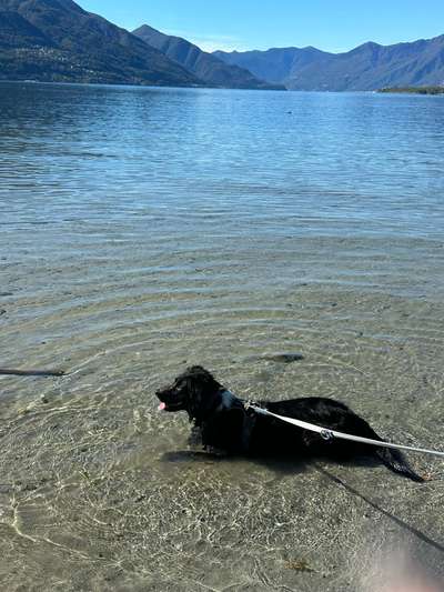 Fotochallenge Nr 107-Beitrag-Bild