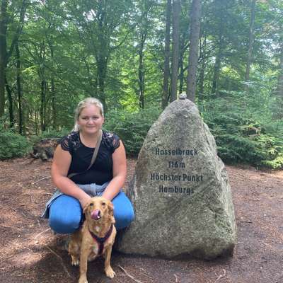 Hundetreffen-Spielen, laufen , wandern