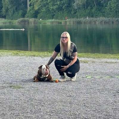 Hundetreffen-Gassi gehen und spielen-Bild