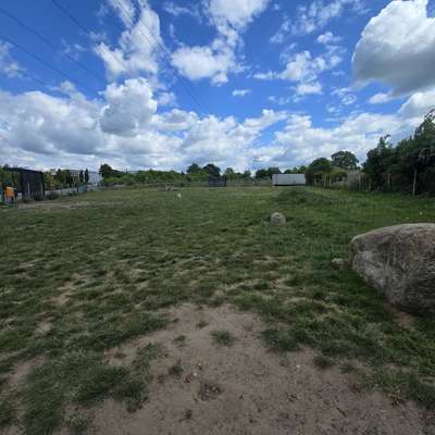 Hundeauslaufgebiet-Hundeauslauf Bad Segeberg-Bild