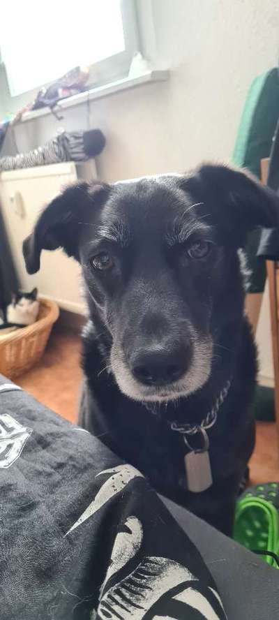 Doppelgänger gesucht !-Beitrag-Bild