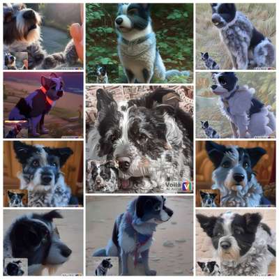 Voila app Bilder-Beitrag-Bild