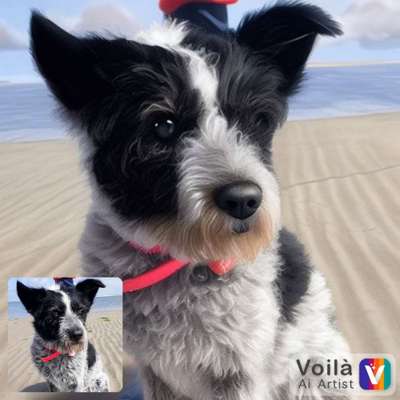 Voila app Bilder-Beitrag-Bild