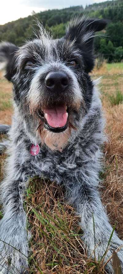 Doppelgänger gesucht !-Beitrag-Bild