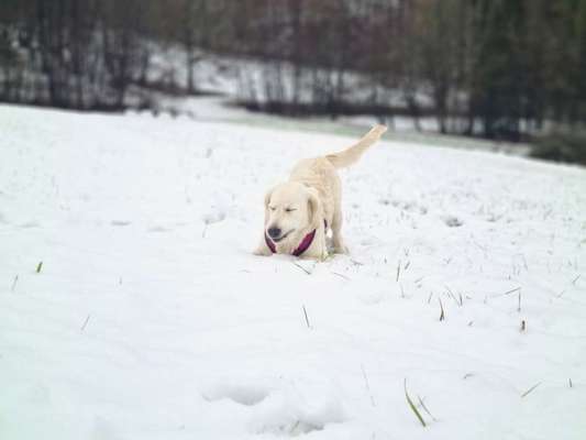 Her mit dem Grimassen-Beitrag-Bild