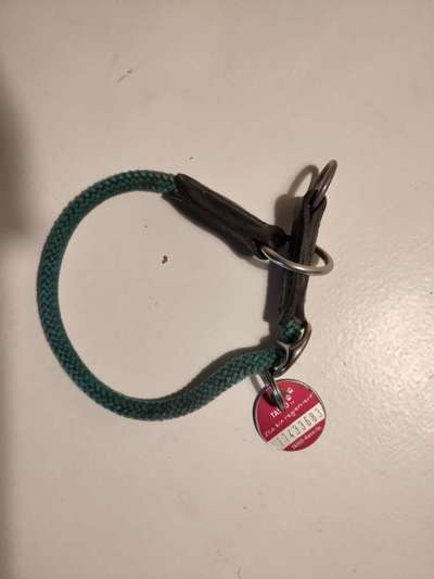 Antizug Halsband mit Zugstopp?-Beitrag-Bild