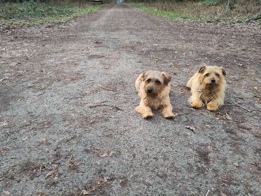 Fotochallenge 130-Beitrag-Bild