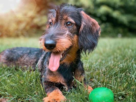 Immer lächeln !-Beitrag-Bild