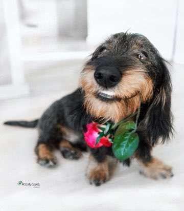 Immer lächeln !-Beitrag-Bild