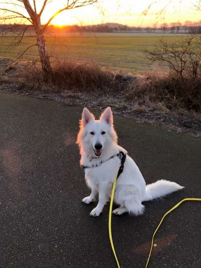 SonnenSTRAHLEN-Beitrag-Bild