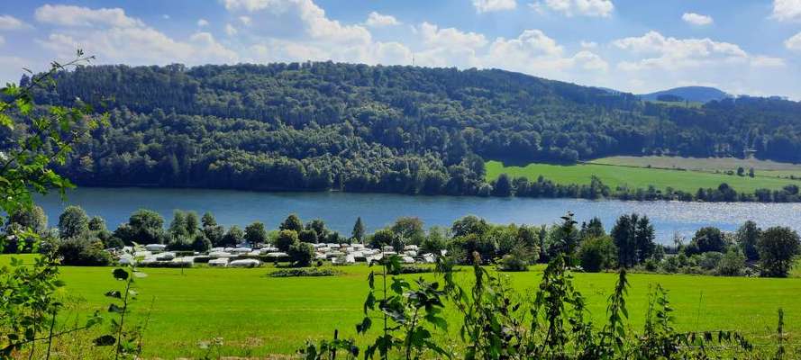 Wandern mit Hund-Beitrag-Bild