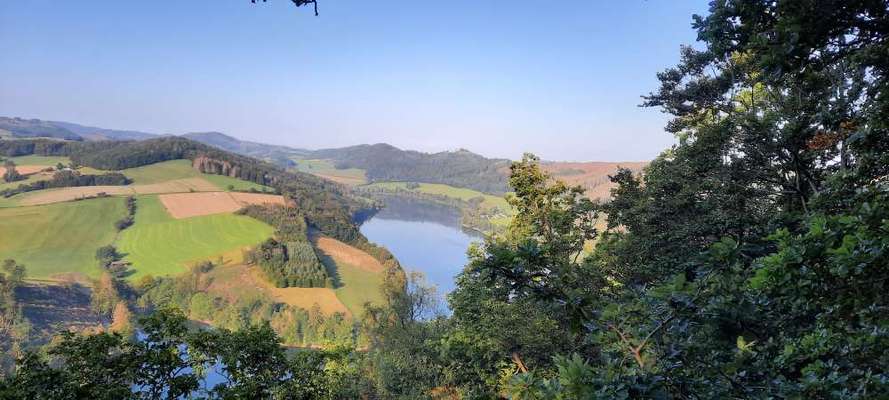 Wandern mit Hund-Beitrag-Bild