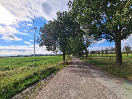 Hundeauslaufgebiet-Windkraftrad-Bild