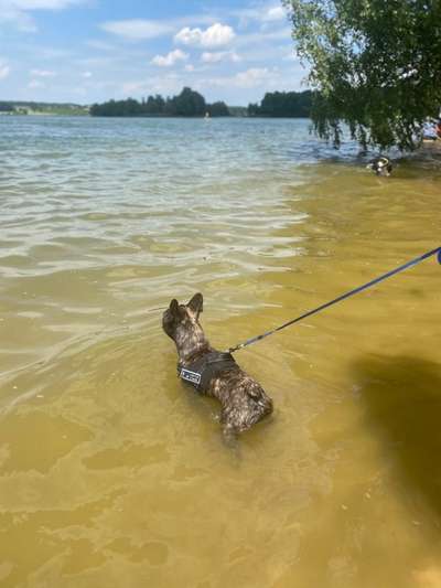 See& Picknick-Beitrag-Bild