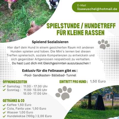 Hundetreffen-Freilauf für nur kleine Hunde Rassen-Bild