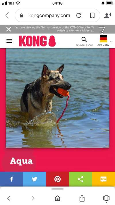 Rollendes Spielzeug ohne verschluck Gefahr?-Beitrag-Bild