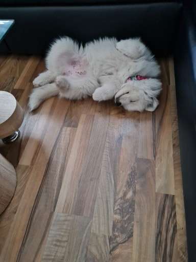 FOTO-Challenge  NR. 91: Die pure Entspannung-Beitrag-Bild