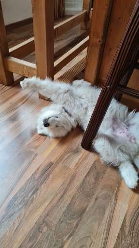 FOTO-Challenge  NR. 91: Die pure Entspannung-Beitrag-Bild