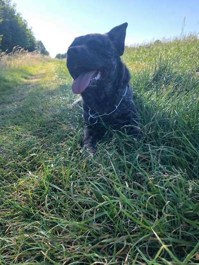 Stafford mix-Beitrag-Bild