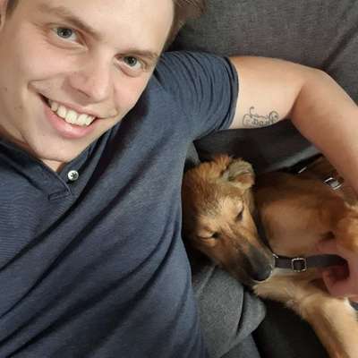 Hundetreffen-Gemeinsames ausführen der Welpen/Hunde-Profilbild