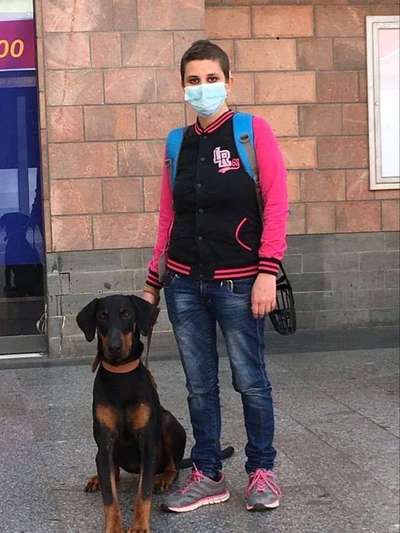 Perfektes Halsband für einen Dobermann?-Beitrag-Bild