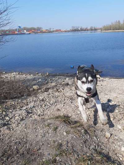 Fotowettbewerb Natur-Beitrag-Bild