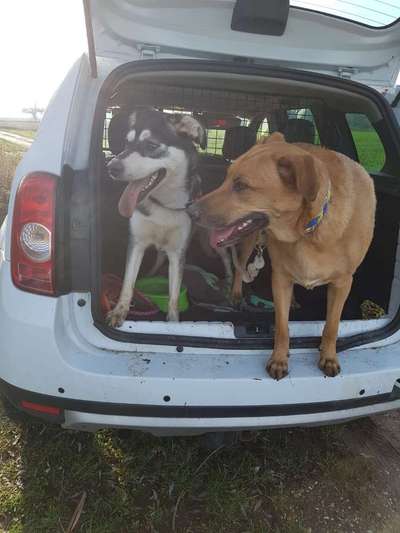 Handyfoto challenge Nr. 13: Waschlappen raus!-Beitrag-Bild