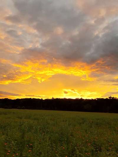 Die wunderschöne Welt mit Hund.-Beitrag-Bild