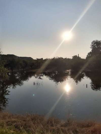 Die wunderschöne Welt mit Hund.-Beitrag-Bild