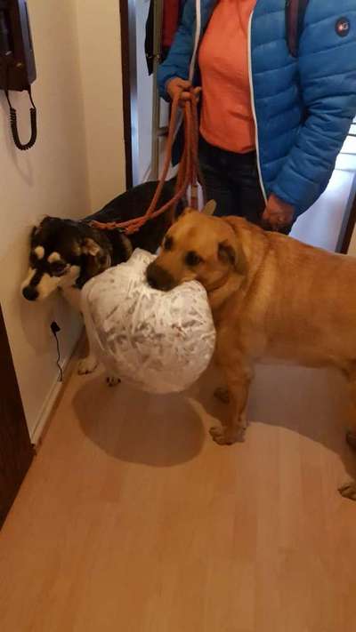 Handy-Foto Challange Nr. 12-Beitrag-Bild