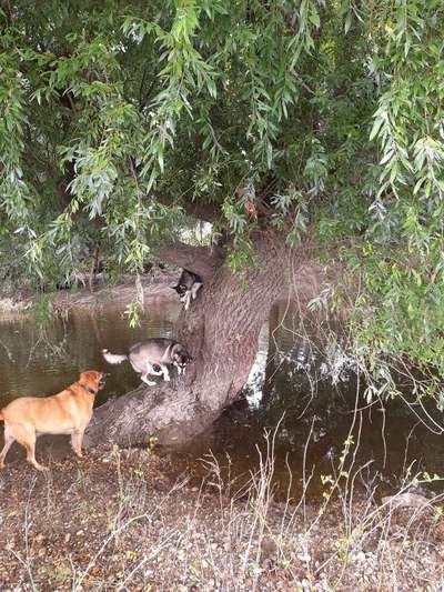 Fotowettbewerb Natur-Beitrag-Bild