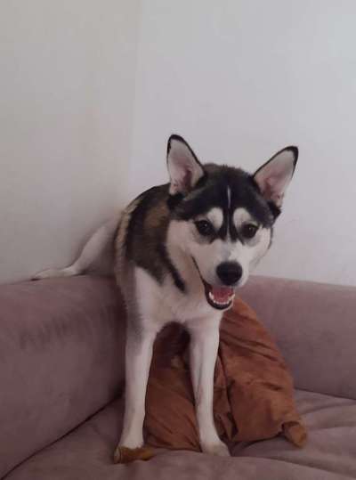 Handyfoto challenge Nr. 13: Waschlappen raus!-Beitrag-Bild