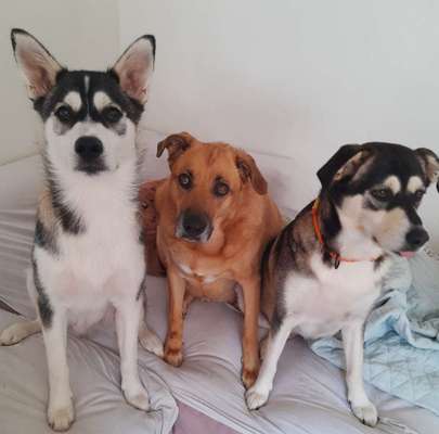 Fotochallange Nr. 57     PORTRÄT.   Beendet!!!!!!!!-Beitrag-Bild