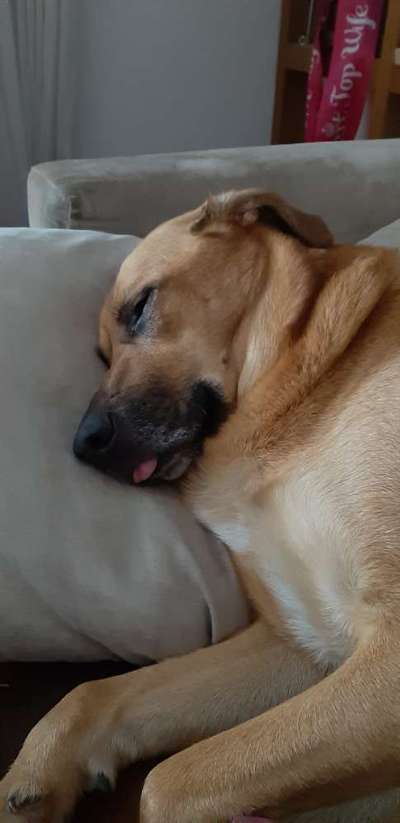 Tongue Out Tuesday-Beitrag-Bild