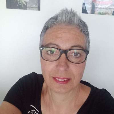 Hundetreffen-Galgo und andere Windis