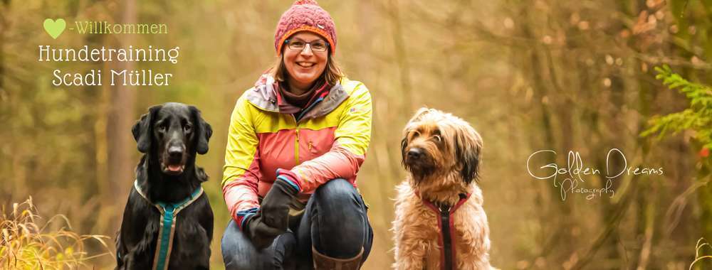 Hundeschulen-Hundetraining Scadi Müller -Bild